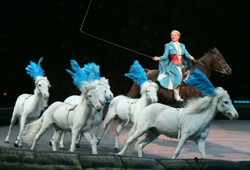 Суфийское кружение или Пони бегают по кругу